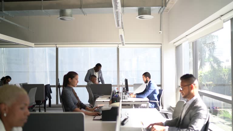 Swapnilsoft Dashboard - Professional Web Development and Digital Marketing Agency Kanpur